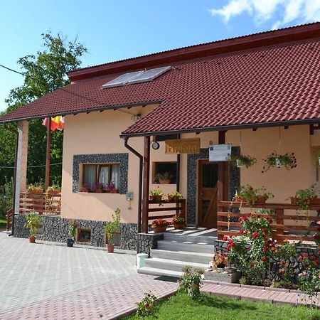Villa Arnota Costesti  Exterior foto