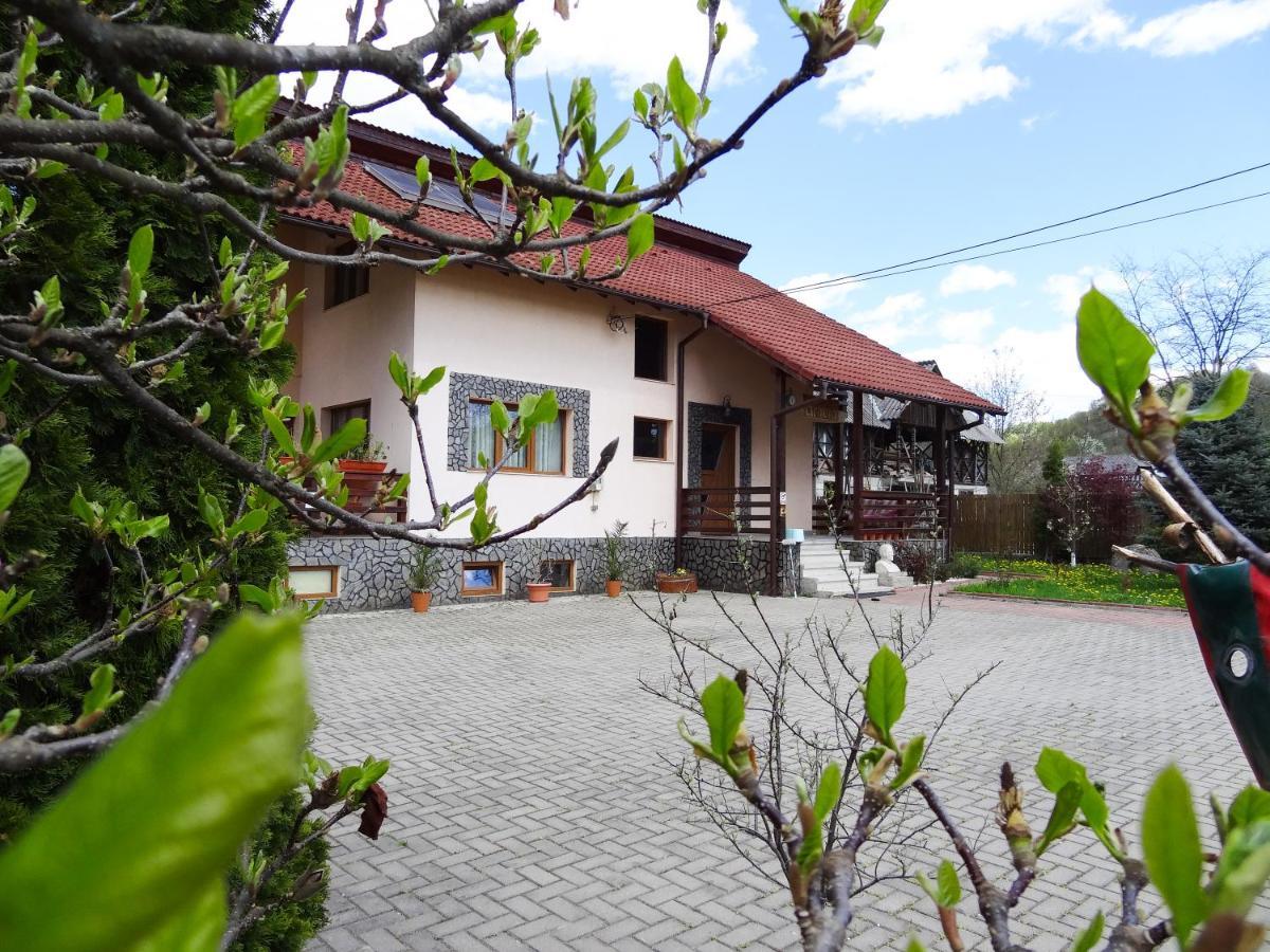 Villa Arnota Costesti  Exterior foto