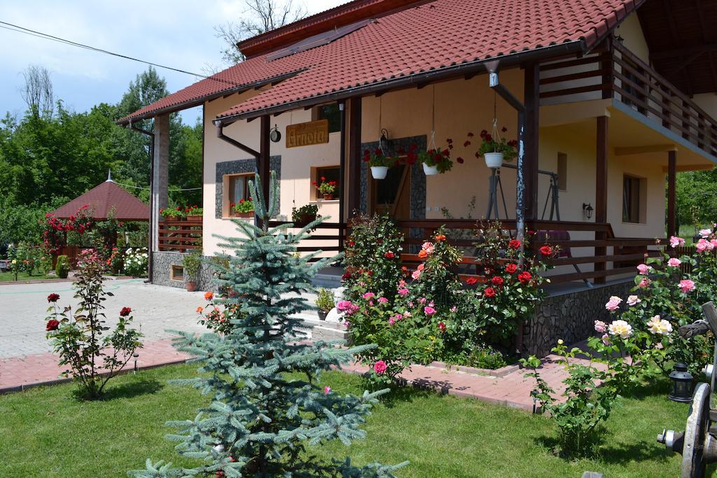 Villa Arnota Costesti  Exterior foto