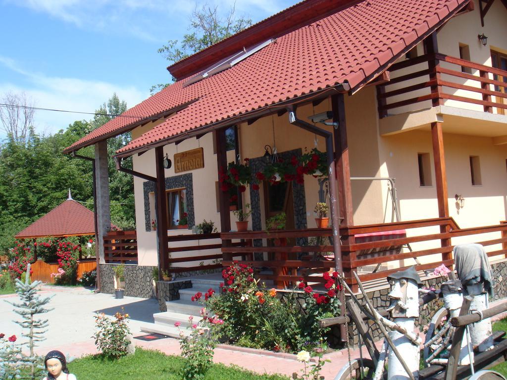 Villa Arnota Costesti  Exterior foto